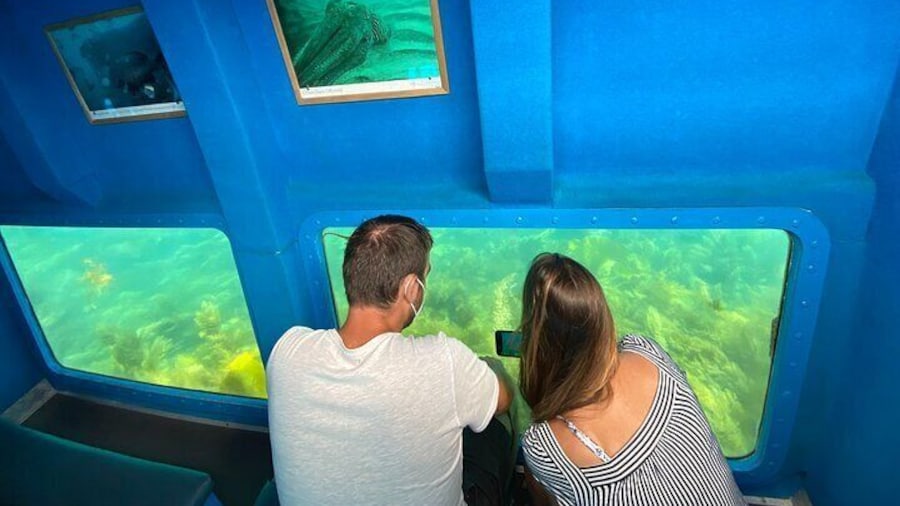 Windows for Underwater Observation