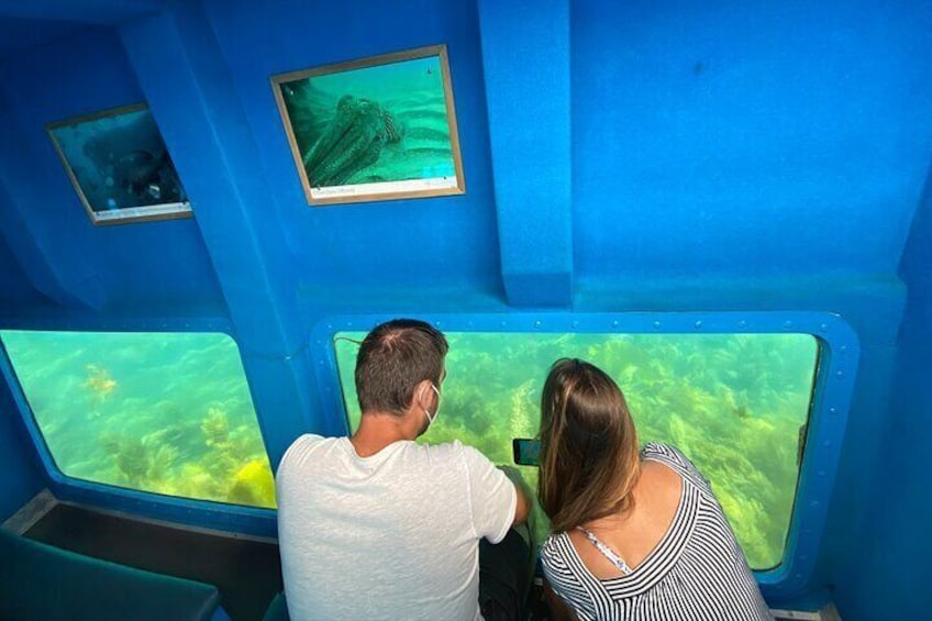 Windows for Underwater Observation