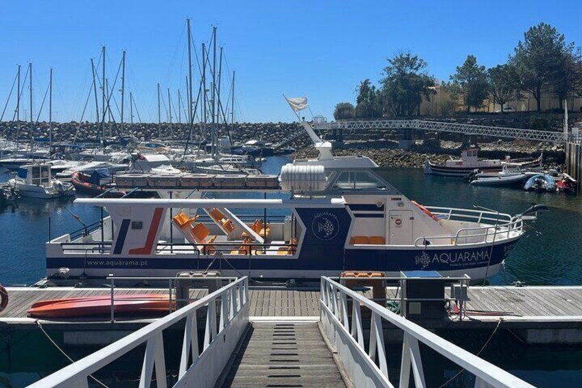 Underwater viewing tours along the coast of Sesimbra