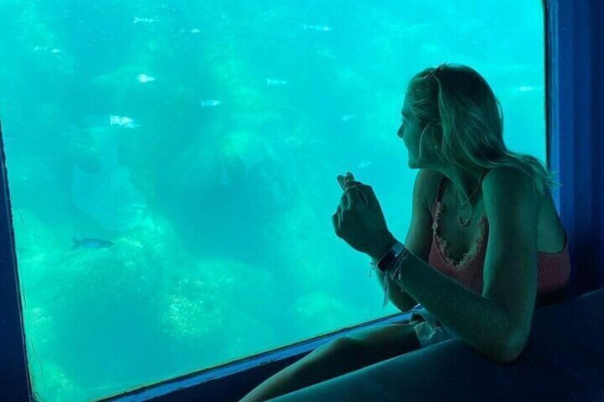 Underwater viewing tours along the coast of Sesimbra