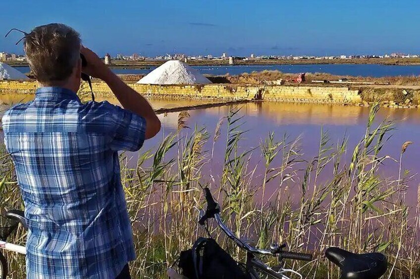 3-hour electric bike tour of the Trapani salt pans