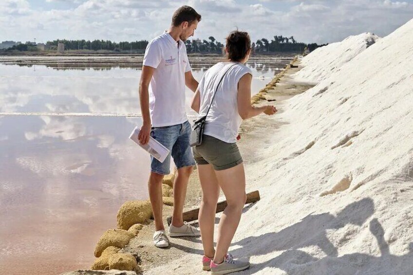 3-hour electric bike tour of the Trapani salt pans