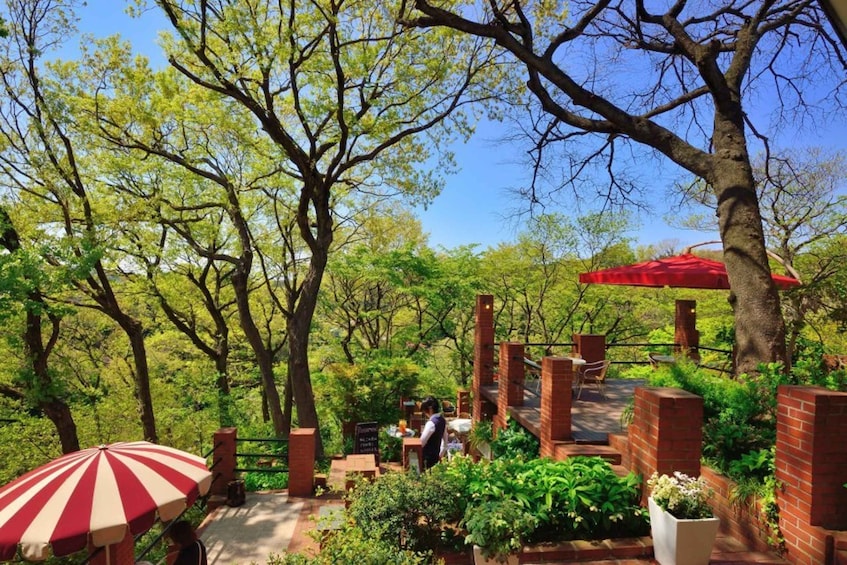 Kamakura: 5-Hour Nature and History Walking Tour