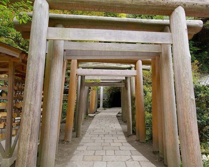 Picture 1 for Activity Kamakura: 5-Hour Nature and History Walking Tour