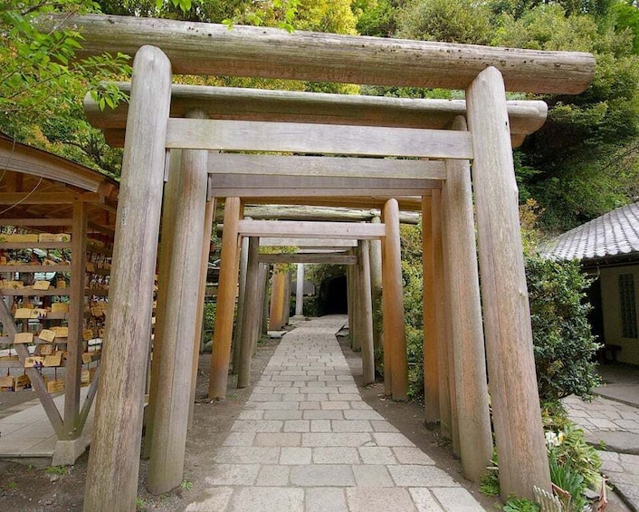 Picture 1 for Activity Kamakura: 5-Hour Nature and History Walking Tour