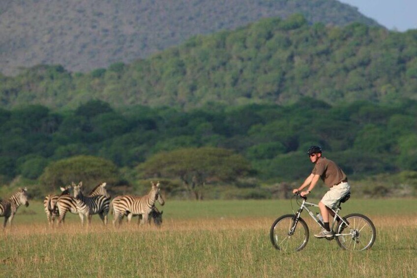 Oldonyo Sapuk Full Day Private Hiking Tour from Nairobi