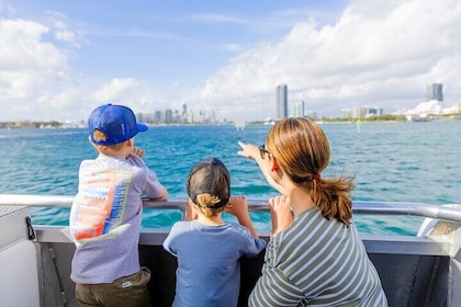 Gold Coast - Hopo 2 Hour Sightseeing Cruise