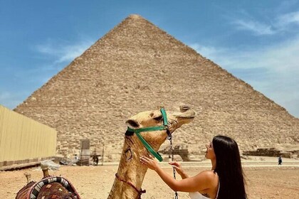 Private Full day Tour to Pyramids, Egyptian Museum and Bazaar