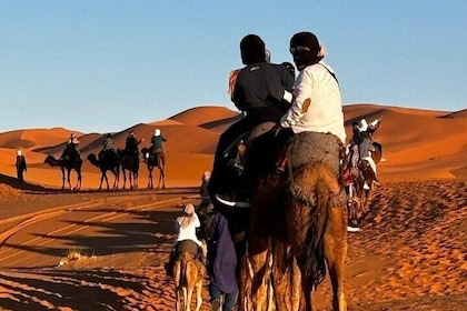 2 Nights 3 Days Trip in Merzouga Desert