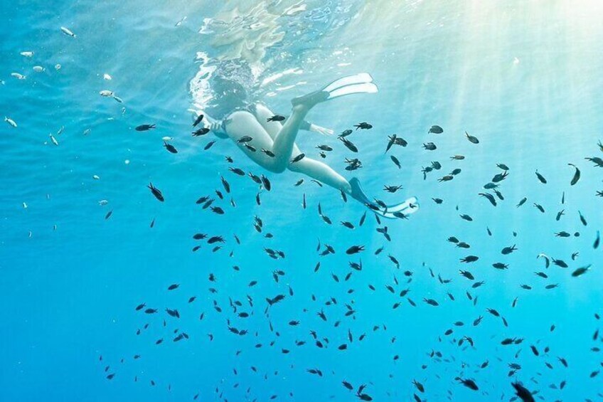 Snorkeling in the marine protected area of Bergeggi island