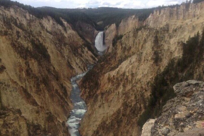 Private Yellowstone Wildlife and Photo Tours from Fishing Bridge 