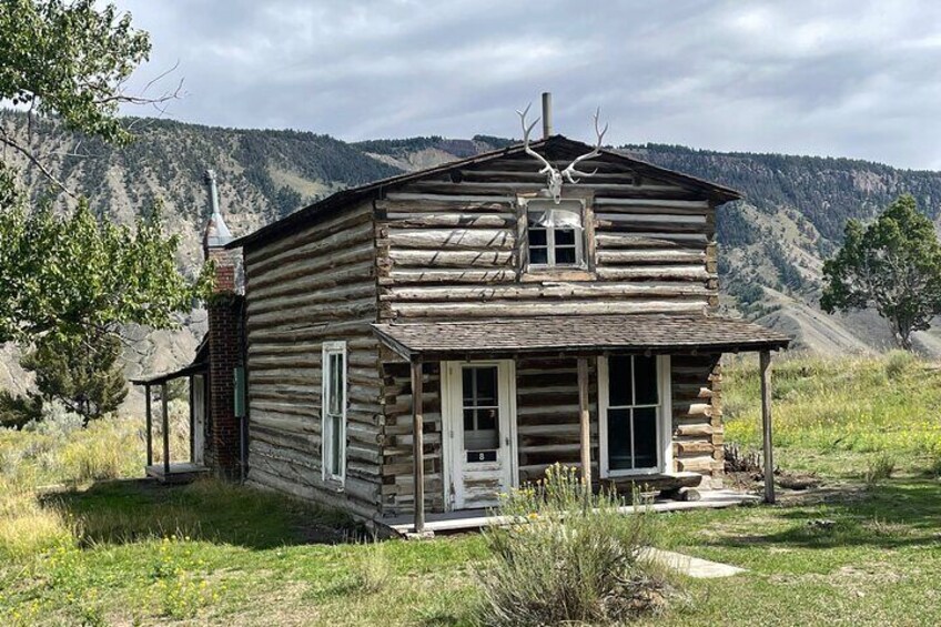 Private Yellowstone Wildlife and Photo Tours from Fishing Bridge 