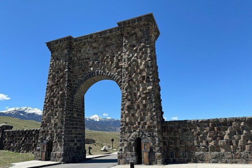 Private Yellowstone Wildlife and Photo Tours from Fishing Bridge 