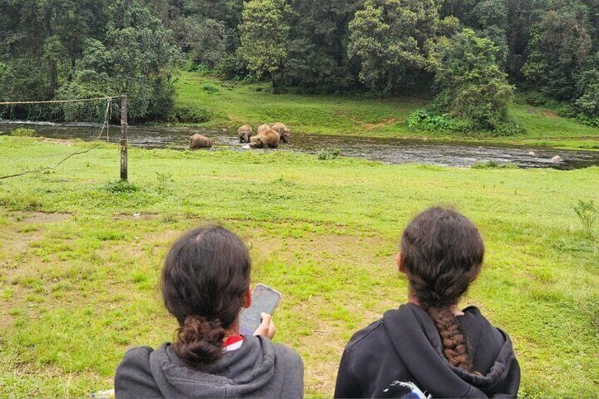 Anakkulam Wild Elephant Visiting(Jeep tour)