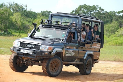 Special Yala Safari Tour