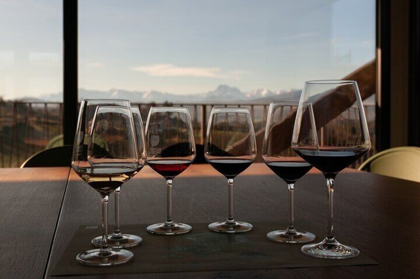 Wines with views