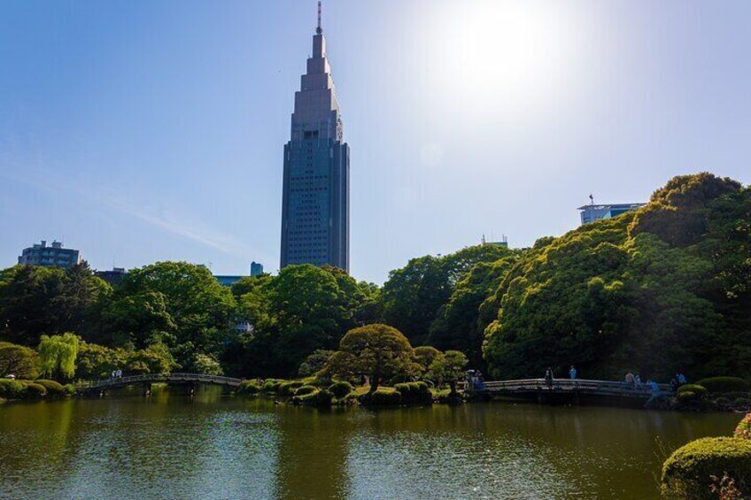 Tokyo Anime Tour