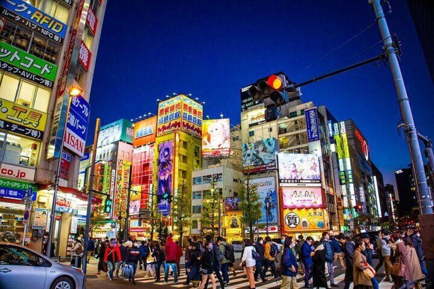 Private Guided Tour of all Anime Towns in Tokyo