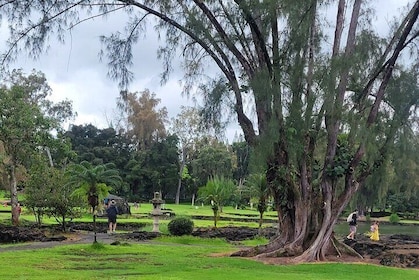 Meditative Journey through Hilo Gardens