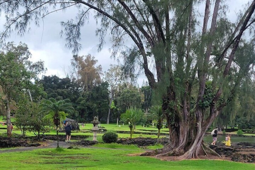 Shared Walking Tour in Liliʻuokalani Gardens and Coconut Island