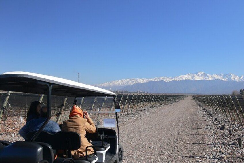 Private tour in the Luján de Cuyo Vineyards