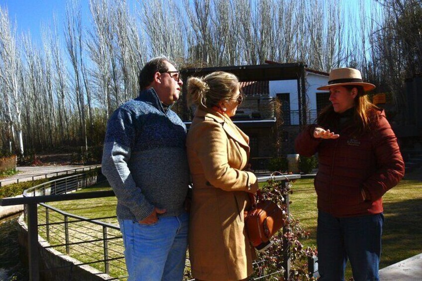 Private tour in the Luján de Cuyo Vineyards