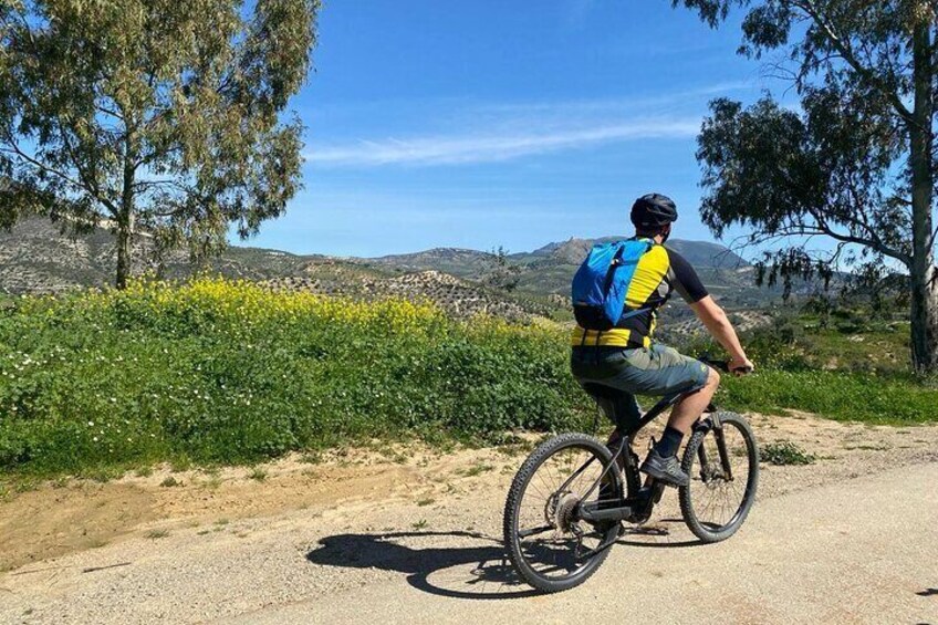 Relaxing Bike Ride