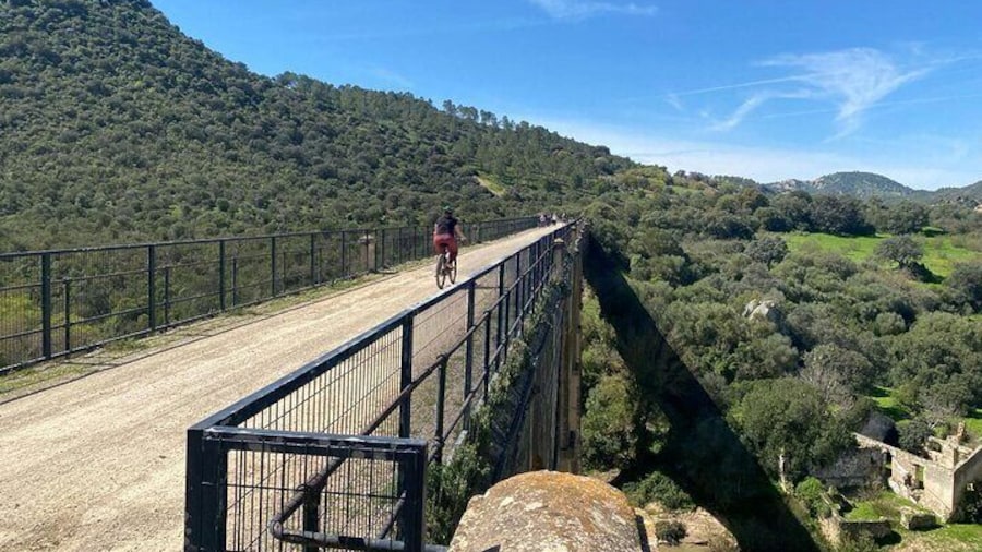 Beautiful Bridges