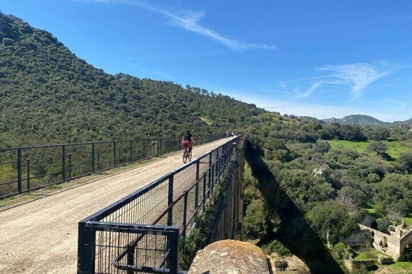 Beautiful Bridges