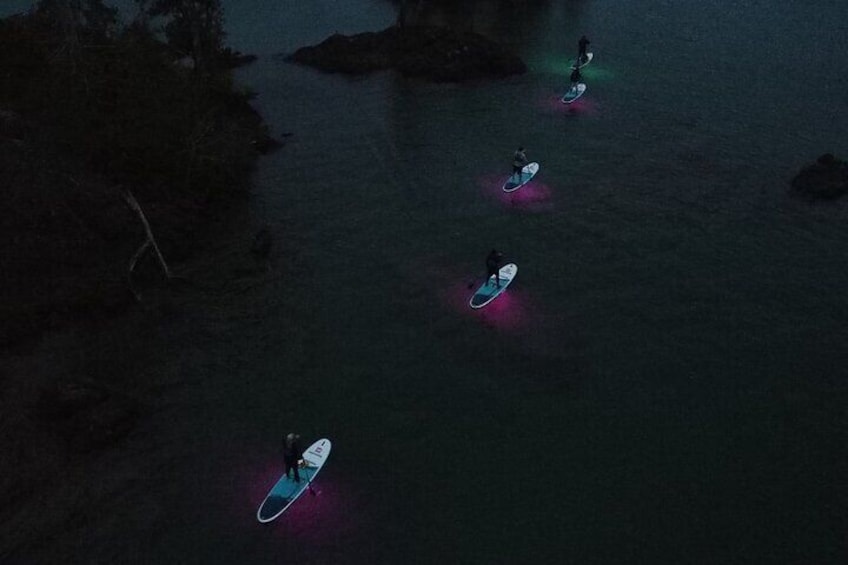 Paddle Out at Dusk for Glow Night Cruise in Gordon Bay