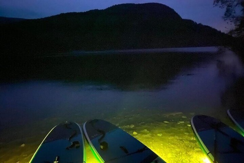 Paddle Out at Dusk for Glow Night Cruise in Gordon Bay