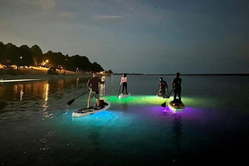 Paddle Out at Dusk for Glow Night Cruise in Gordon Bay