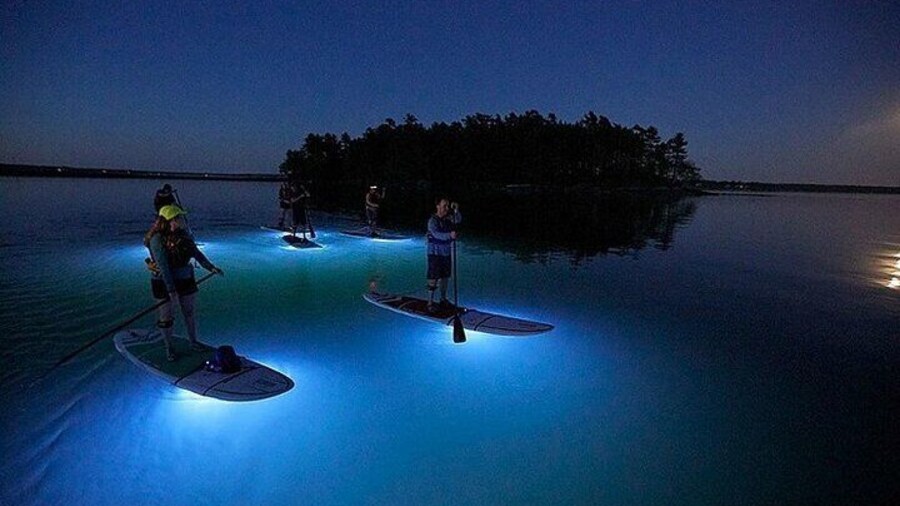 Paddle Out at Dusk for Glow Night Cruise in Gordon Bay