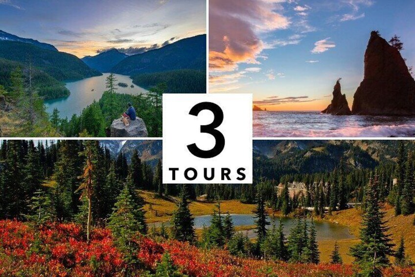 Seattle Audio Tour Bundle: Mt. Rainier & Olympic National Park