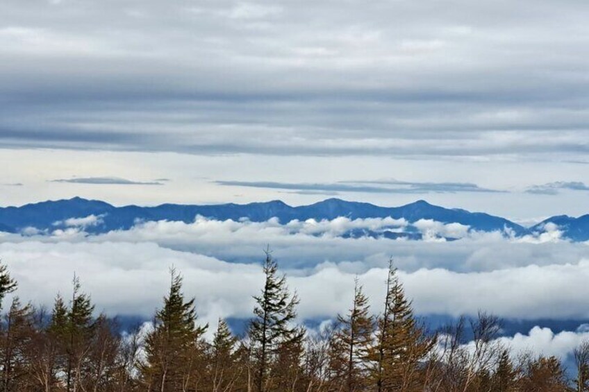 Mount Fuji (Mt. Fuji) private tour by Car with pickup from Tokyo 