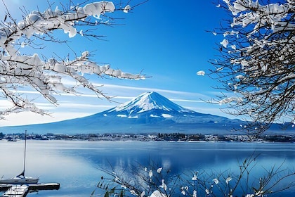 Mount Fuji (Mt. fuji) private tour by car with pickup from Tokyo