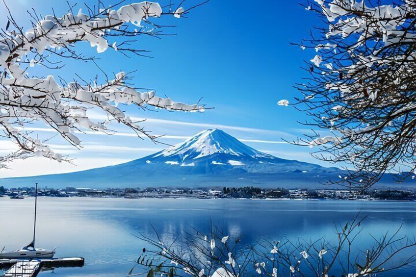 Mount Fuji private tour by Car with pickup from Tokyo 