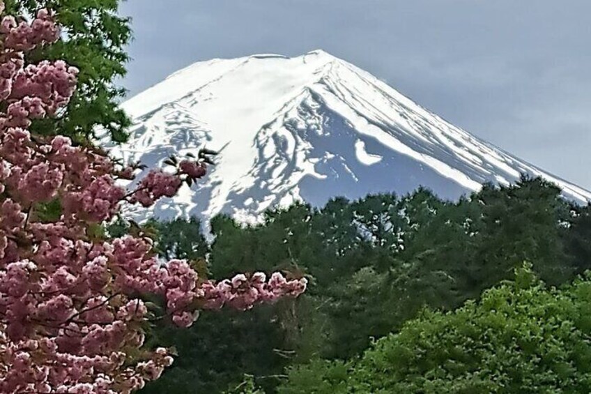 Private Tour in Mt Fuji with English Speaking Driver