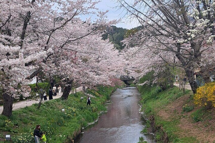 Private Tour in Mt Fuji with English Speaking Driver