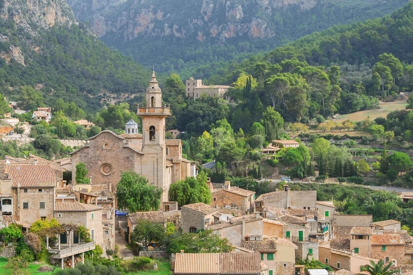 Picture 11 for Activity Mallorca: Valdemossa and Port of Soller Coca of Potato