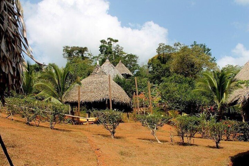 Private 6 hours Tour to Embera´s Community Panama Roots