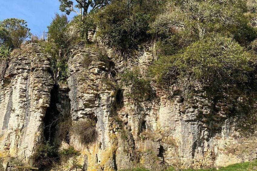 Waitomo Glowworm and Cave Small Group Tour 