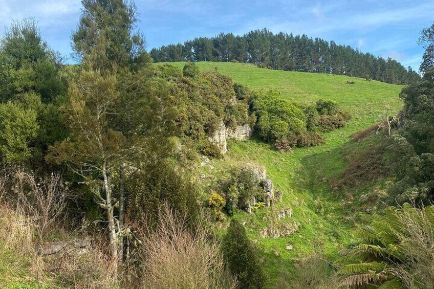 Waitomo Glowworm and Cave Small Group Tour 