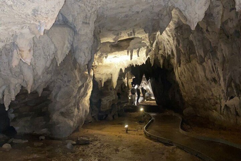 Waitomo Glowworm and Cave Small Group Tour 