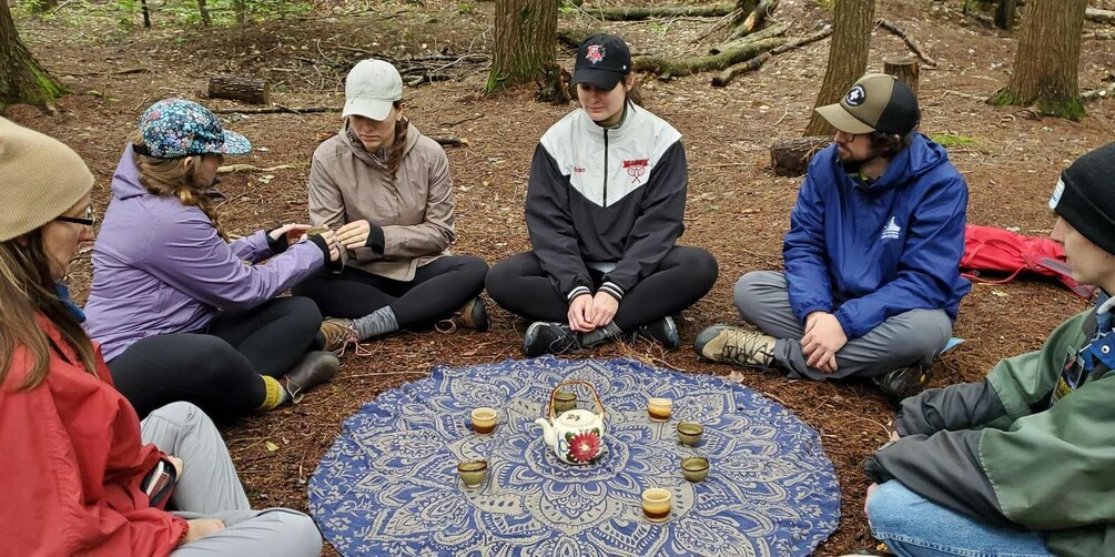 Picture 3 for Activity Nature Immersion at a Forest Sanctuary with Private Guide