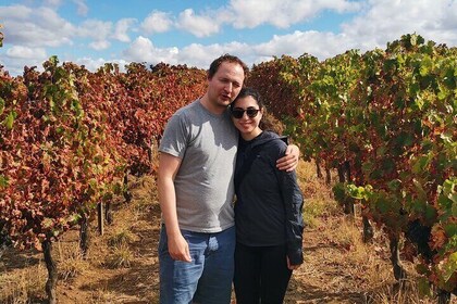 Experiencia de tour privado de un día desde Évora 