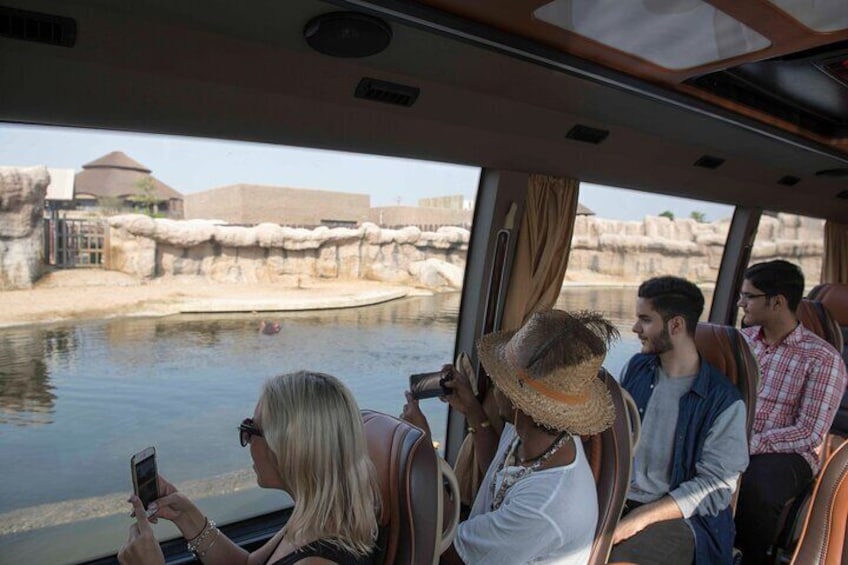 Dubai Safari Park Tour with Ticket Options