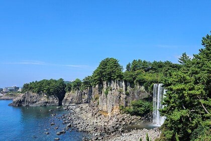 South Jeju Private Taxi Tour with Well-Experienced Driver