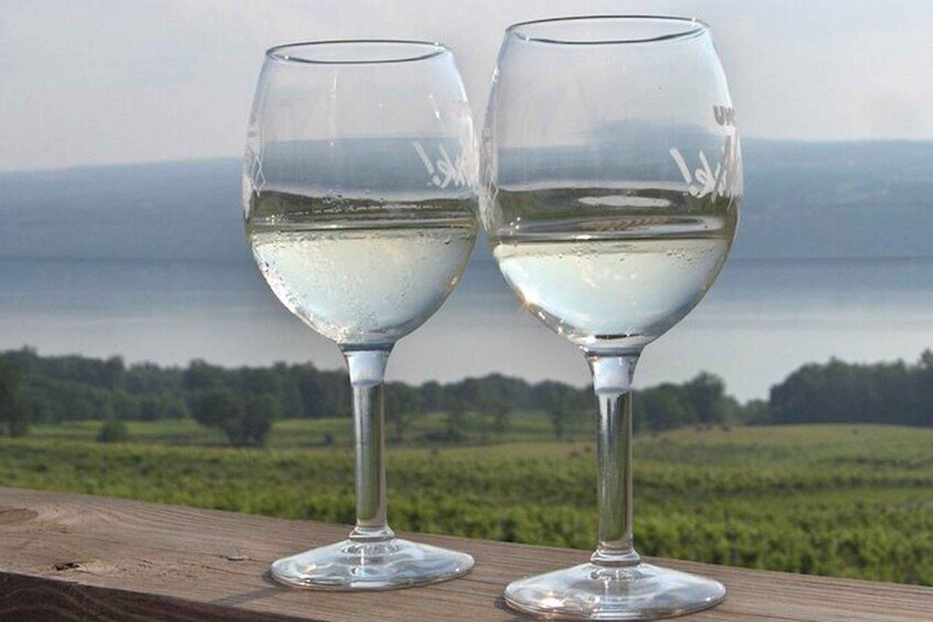 Seneca Lake: Wine Tasting Tour