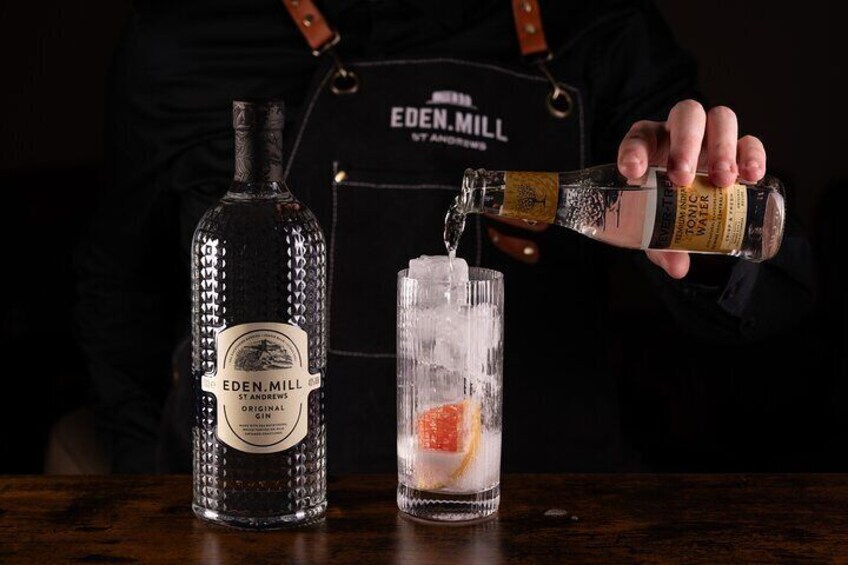 Gin Tasting Experience with a Perfect Serve